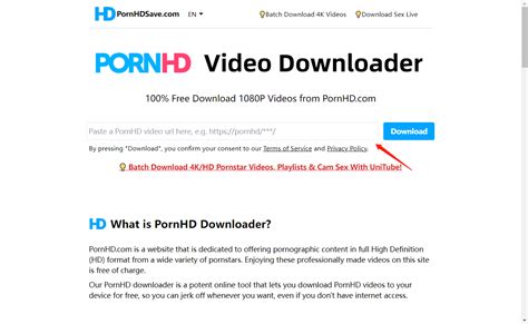 pornhd free video